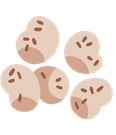 shape52